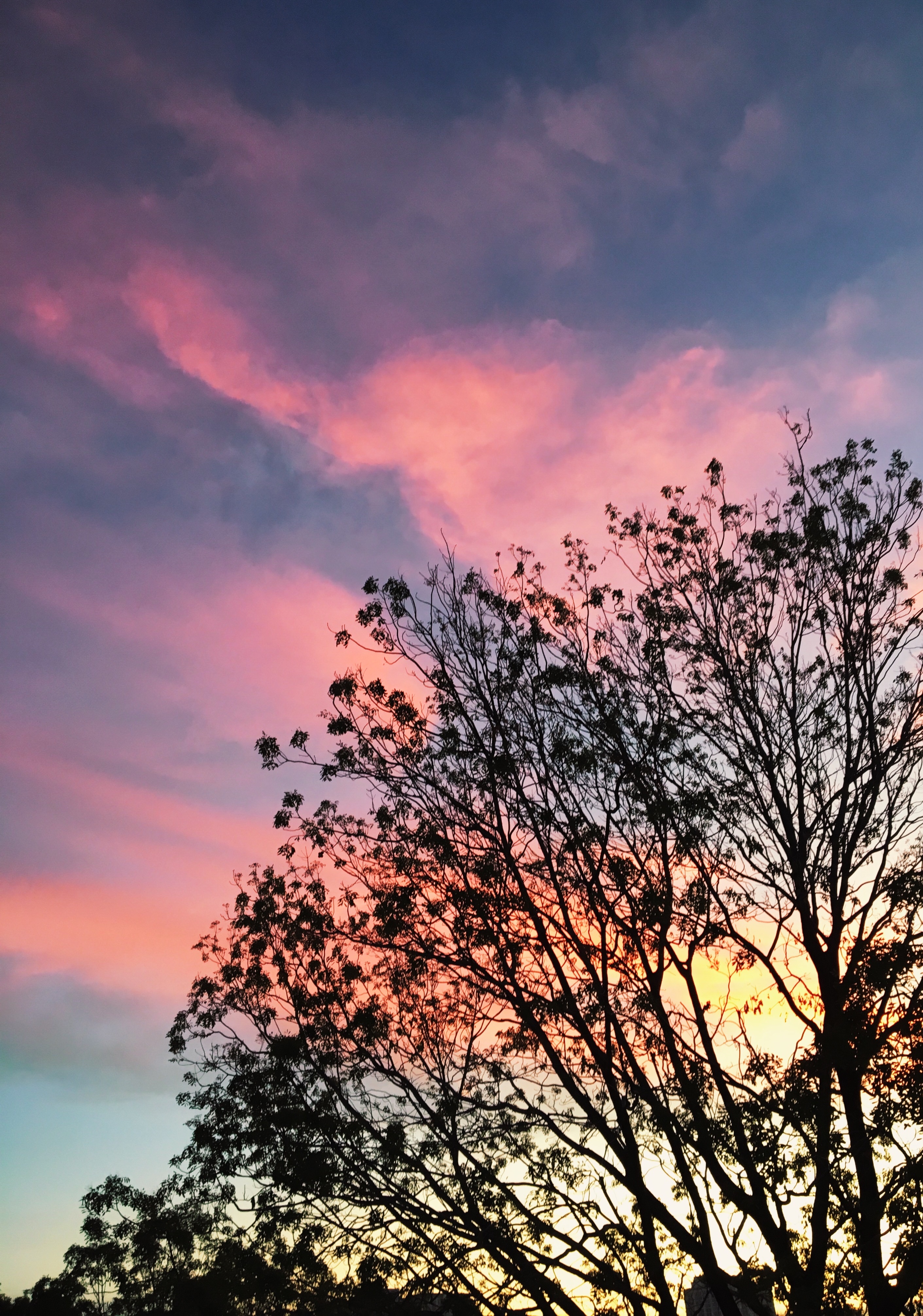 Processed with VSCO with l10 preset